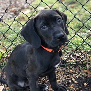 Meet your Posher, Lillian